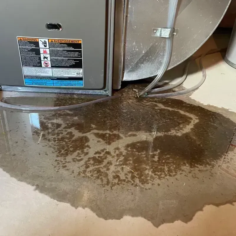 Appliance Leak Cleanup in Nederland, CO